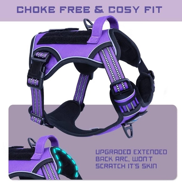 Purple dog harness - Picture 2 of 4